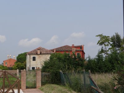 DSC07805.jpg