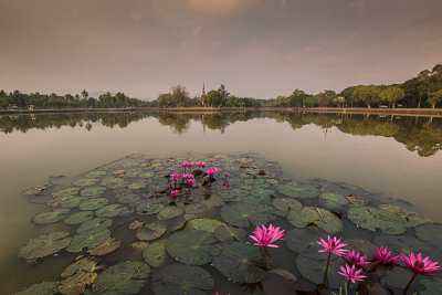 Sukuthai. Lotus lake
