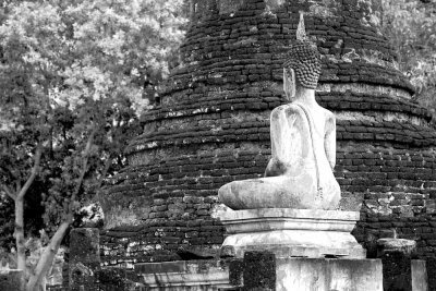 Buddha and Stupa