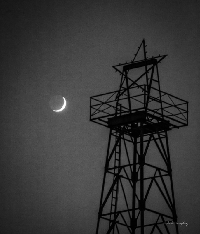 NEW MOON