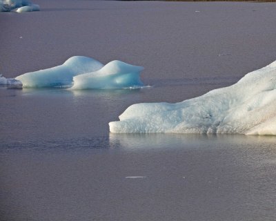 2N9A2116 Fjalls rl¢n Glacier Lagoon.jpg