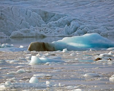 2N9A2126 Fjalls rl¢n Glacier Lagoon.jpg