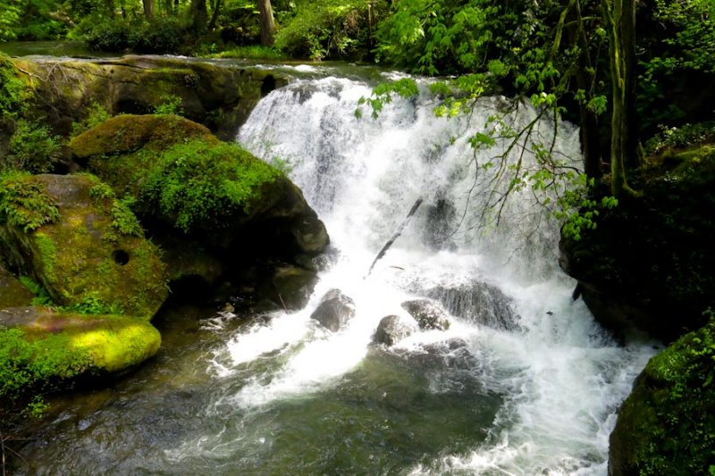 Whatcom Falls