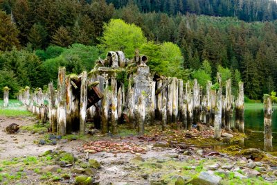 Remnants of a cannery in Taku Bay