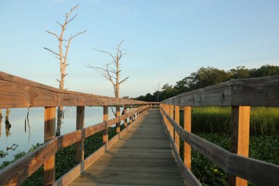 Boardwalk at Bay Area Park.