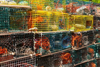 Lobster traps at St. Martin's