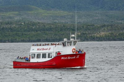 Our boat for the ride on Western Brook pond