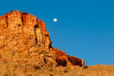 Alice Springs