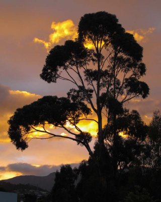 Sunset in Hobart, Tasmania