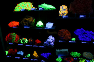 UV lit rocks at the Rice Northwest Museum