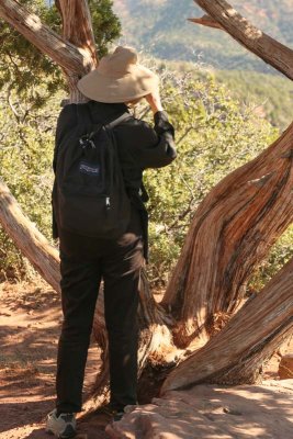 Ginny lines up a shot in Zion National Park