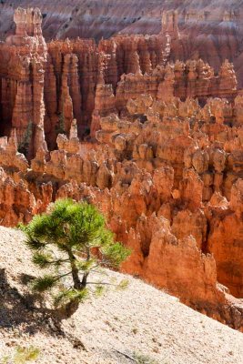 Bryce Canyon Amphitheater