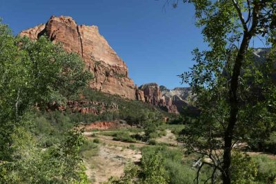 Along the Virgin River in Zion