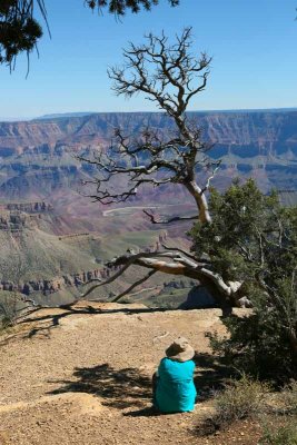 On the North Rim of the Grand Canyon