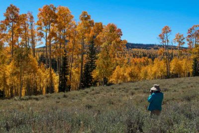 Ginny pursues the perfect fall foliage photo