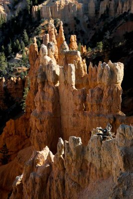 Hoodoos in Bryce