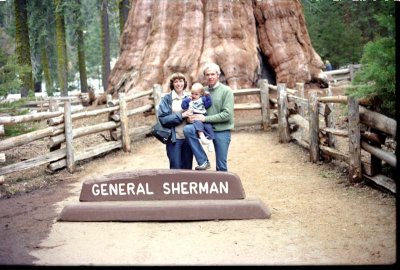 1983 - Family Vacation photo in Sequoia National Park