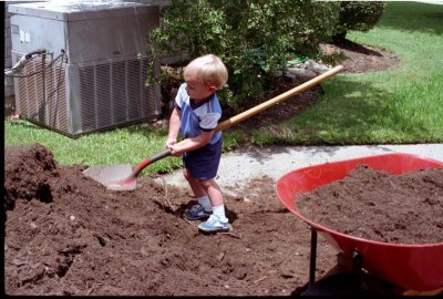 1984 - Shoveling mulch is tough when you are three years old