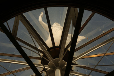 Dome statue from inside rotunda