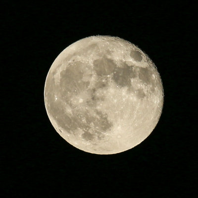 g9/43/578243/3/164535501.MP2po16v.jpg