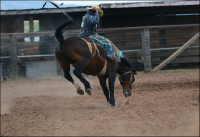 Rodeo de Galisteo