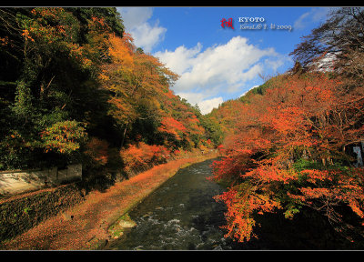 Kyoto_2009_1115_1.jpg