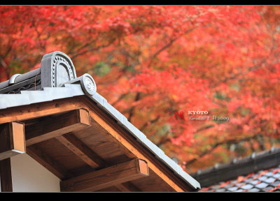 Kyoto_2009_1115_19.jpg