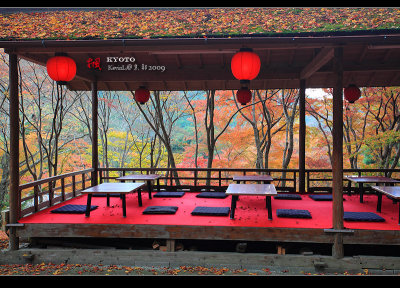 Kyoto_2009_1115_2.jpg