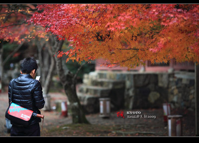 Kyoto_2009_1115_24.jpg