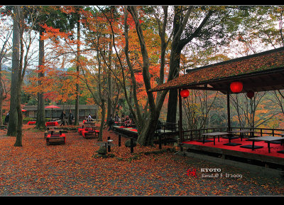Kyoto_2009_1115_3.jpg