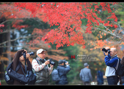 Kyoto_2009_1115_7.jpg