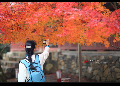 Kyoto_2009_1115_8.jpg