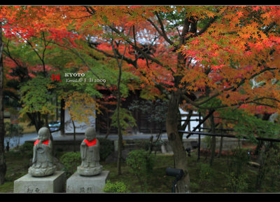 Kyoto_2009_1116_02.jpg