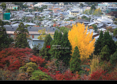 Kyoto_2009_1116_10.jpg