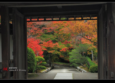 Kyoto_2009_1116_13.jpg