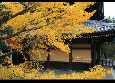 Kyoto_2009_1116_15.jpg