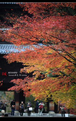 Kyoto_2009_1116_18.jpg