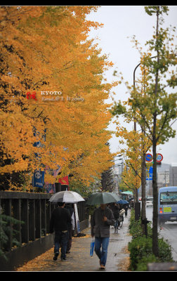 Kyoto_2009_1117_07.jpg
