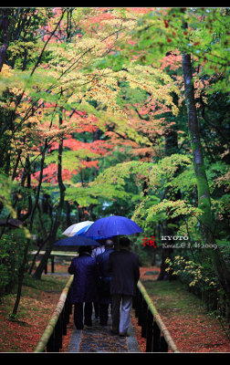 Kyoto_2009_1117_10.jpg
