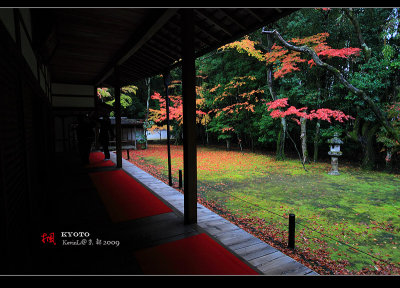 Kyoto_2009_1117_16.jpg