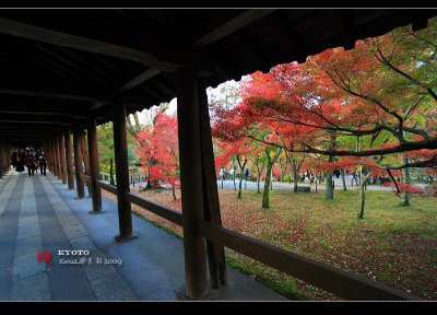 Kyoto_2009_1118_03.jpg