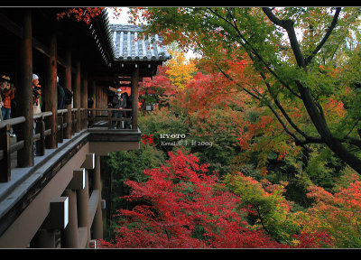 Kyoto_2009_1118_04.jpg