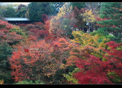 Kyoto_2009_1118_05.jpg