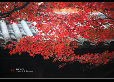 Kyoto_2009_1118_08.jpg