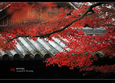 Kyoto_2009_1118_12.jpg