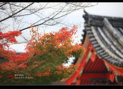 Kyoto_2009_1118_53.jpg