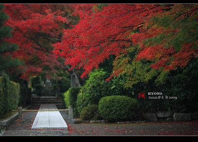 Kyoto_2009_1119_05.jpg