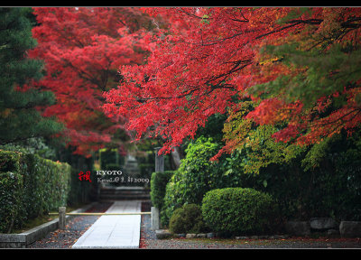 Kyoto_2009_1119_06.jpg