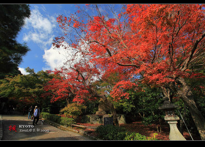 Kyoto_2009_1119_15.jpg