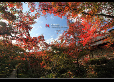 Kyoto_2009_1119_19.jpg